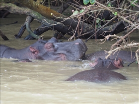 Hluhluwe River